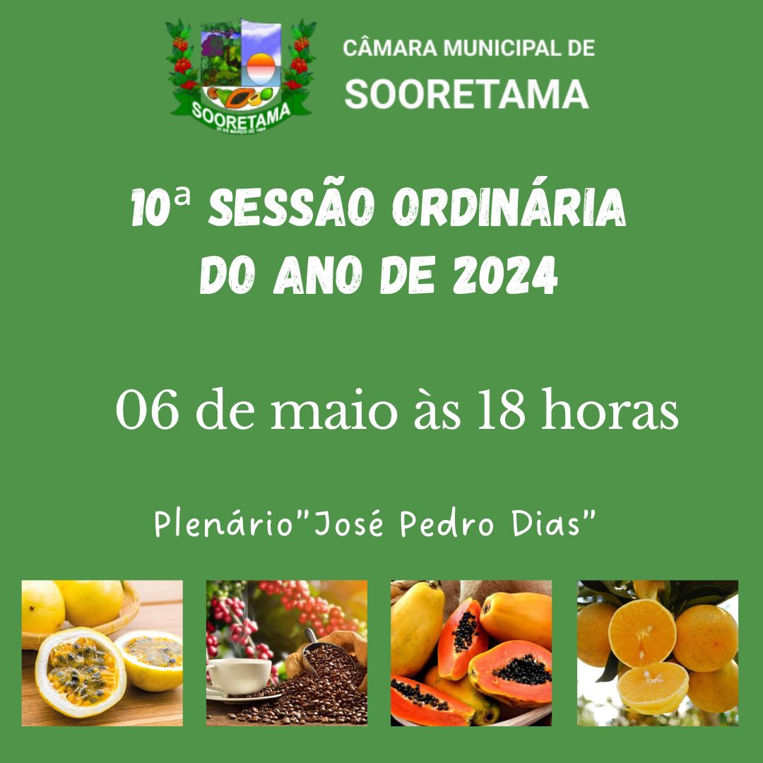 10ª SESSÃO ORDINÁRIA DE 2024