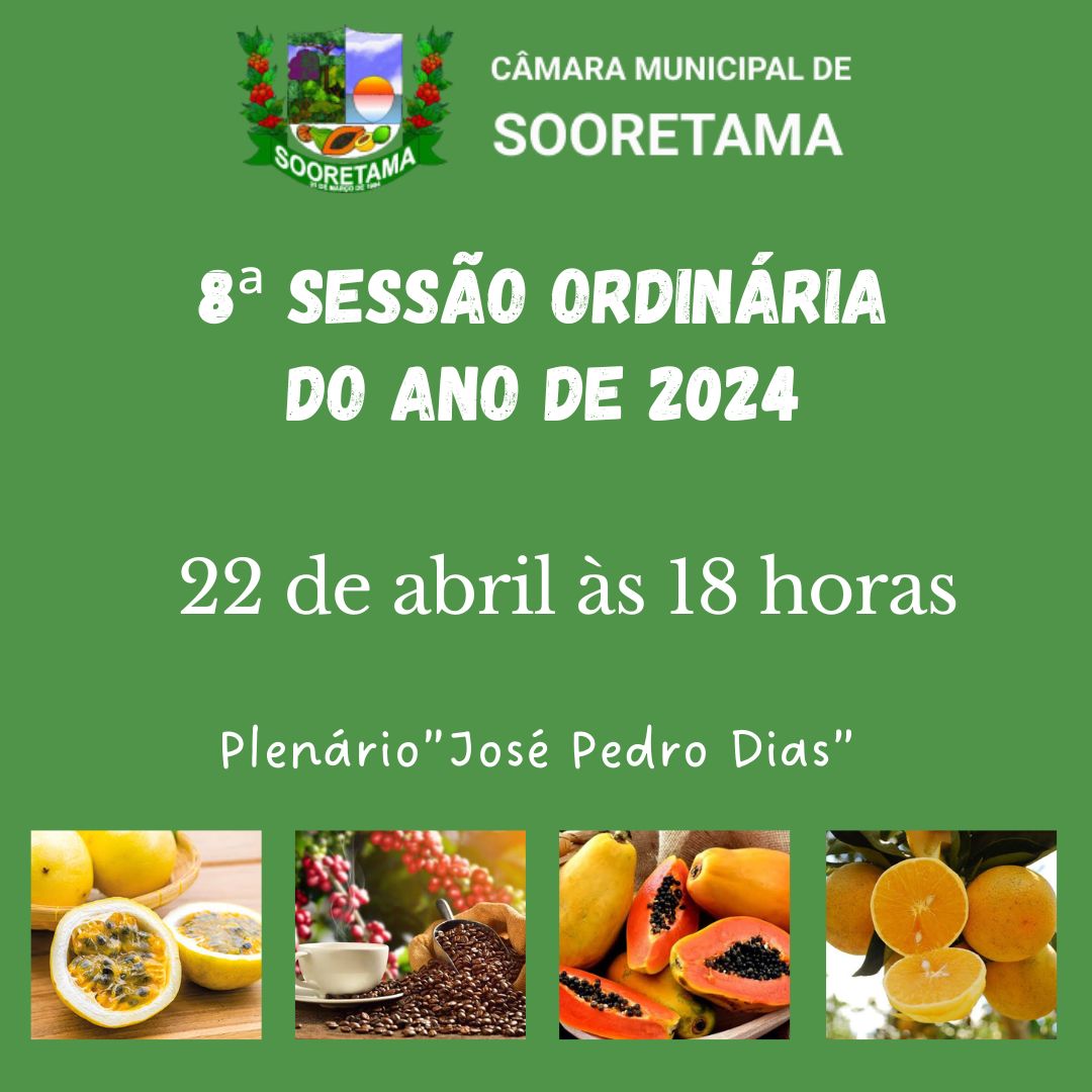 8ª SESSÃO ORDINÁRIA DE 2024