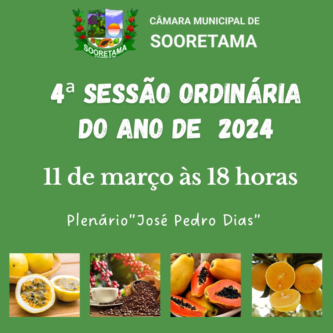 4ª SESSÃO ORDINÁRIA DE 2024