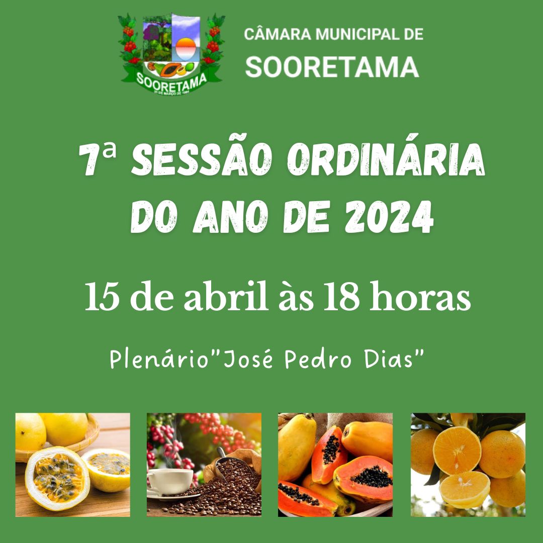 7ª SESSÃO ORDINÁRIA DE 2024