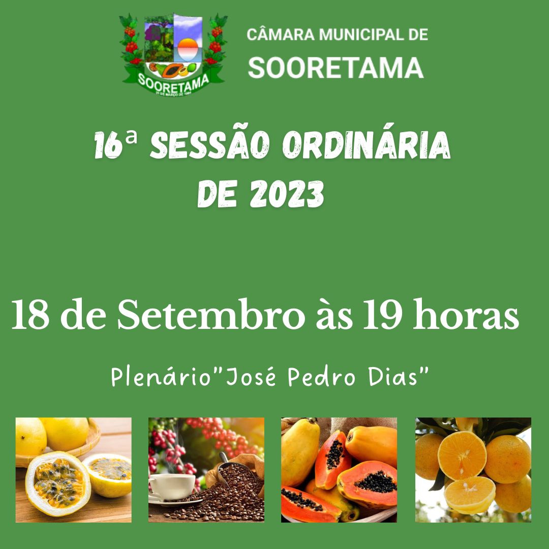16ª SESSÃO ORDINÁRIA DO ANO DE 2023