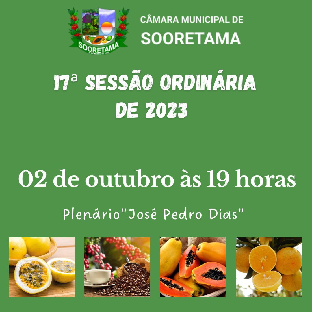 17ª SESSÃO ORDINÁRIA DO ANO DE 2023